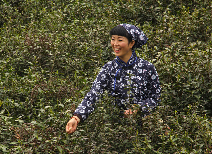 企鹅号·奶冻布丁酱 热门3
